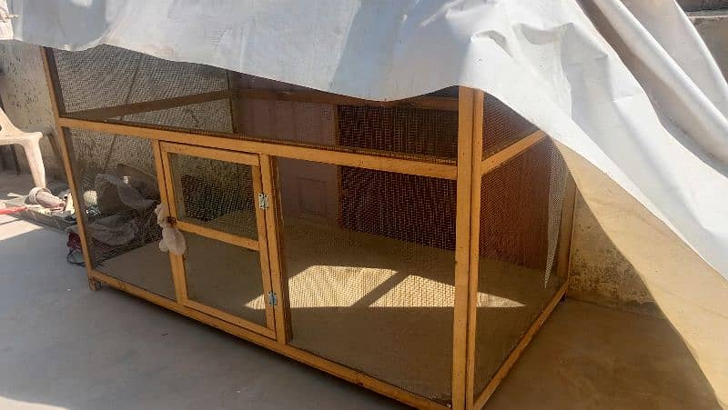 Wooden Hen Cage – Durable & Ready to Use 2