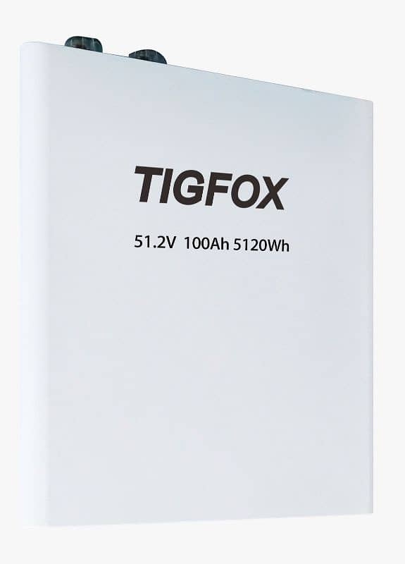 Tigfox Lithium Battery 51/100 3