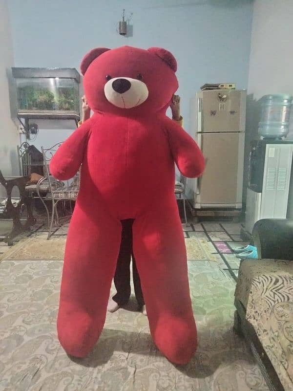 Red bear 1