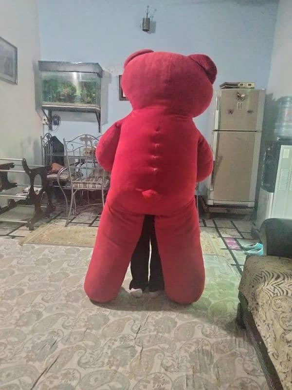 Red bear 2