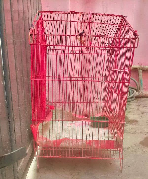 Birds Cage 1