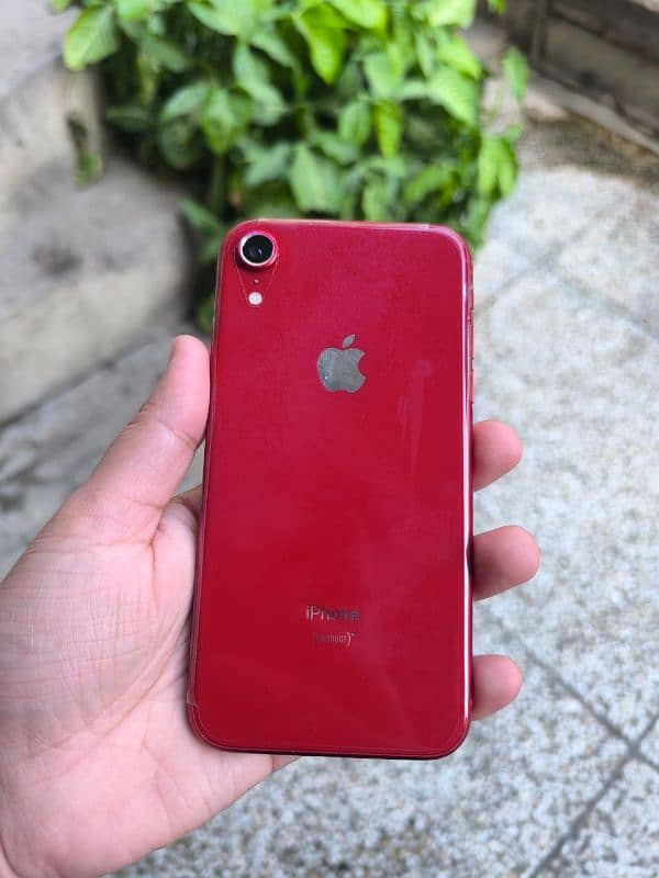 iphone XR 1