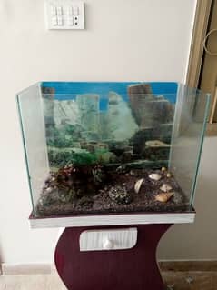 Fish Aquarium as good as new with stand