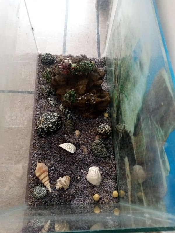 Fish Aquarium as good as new with stand 5