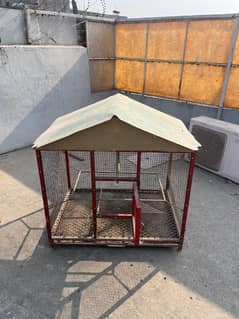 Hen or parrot cage