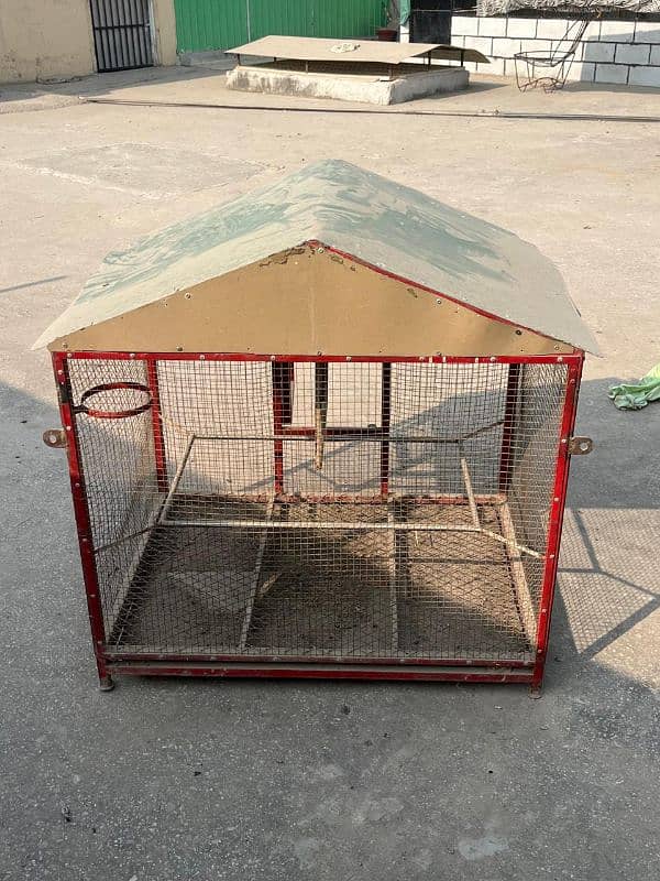 Hen or parrot cage 2