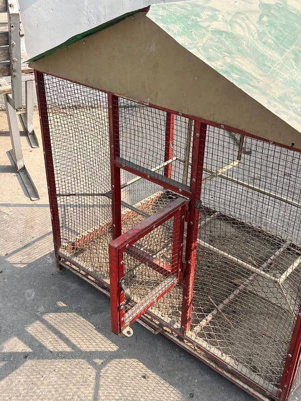 Hen or parrot cage 3