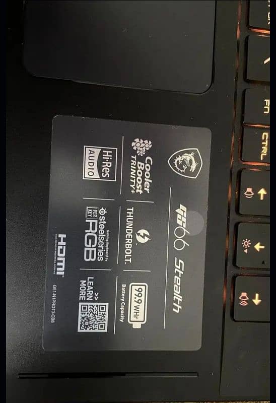 MSI GS66 10SFS Stealth 1