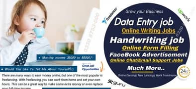 Online Data Entry & Assignment Work Available