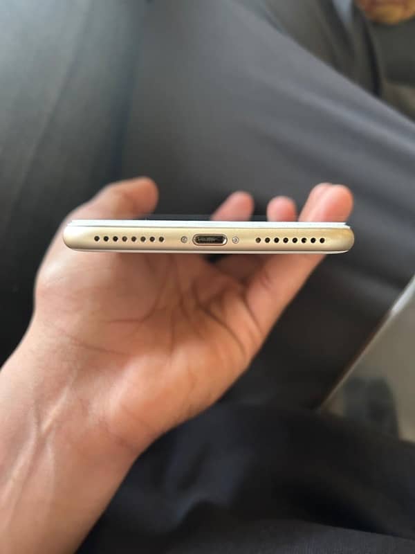 iPhone 7 Plus pta 3