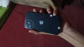 iphone 12 mini