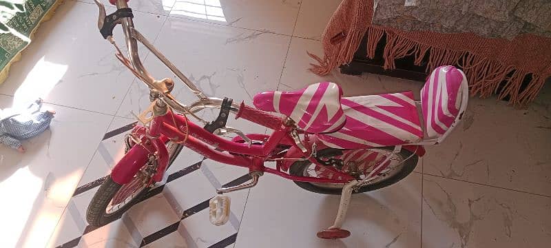 pink cycle 2