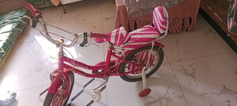 pink cycle 3