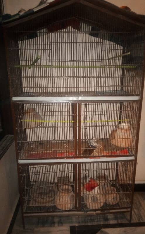 Birds cage 0