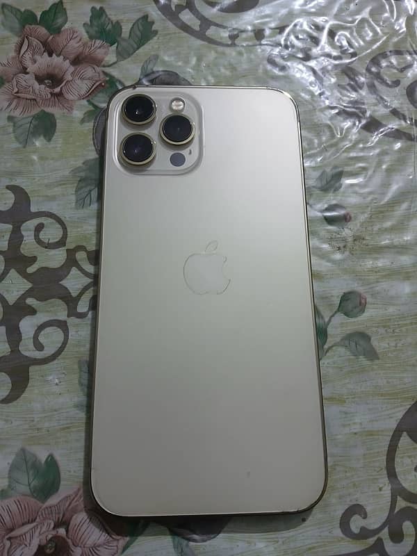 IPhone 12 Pro Max 256 Gb Pta Approved 1