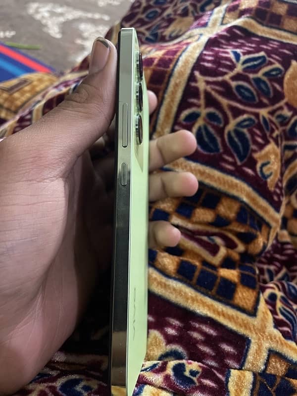 vivo y 100 with dabba charger 10 by 10 condition 0