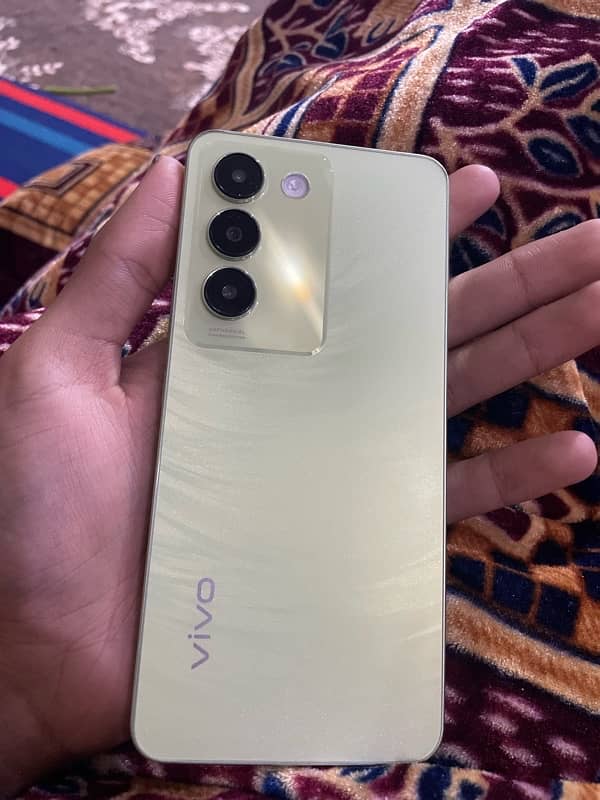 vivo y 100 with dabba charger 10 by 10 condition 2