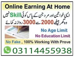 Online job available, Typing/Assignment/Data Entry/Ad posting etc