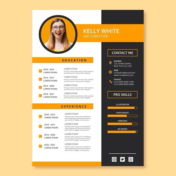 Professional cv and Cover letter designer 2