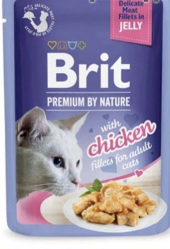 Cat food | Kitten Food | 2 kg cat food | 100 gram | chicken food 7