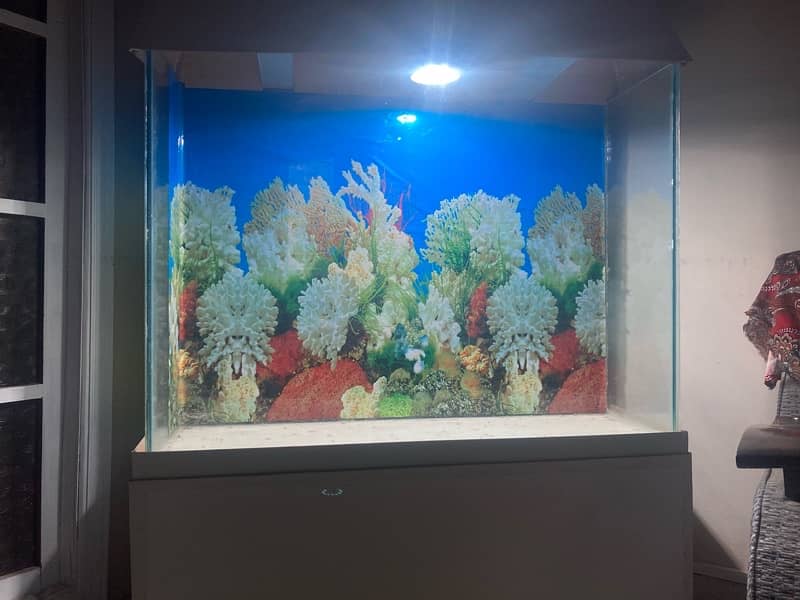 aquarium 4