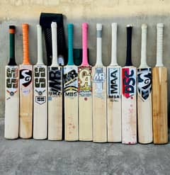 Cricket Bat