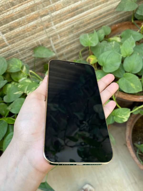 IPHONE 12 PRO MAX (GOLD COLOUR) PTA APPROVED 5