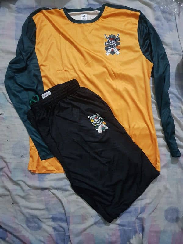 pakistan training shirt/pakistan travelling shirt/domestic kits 6