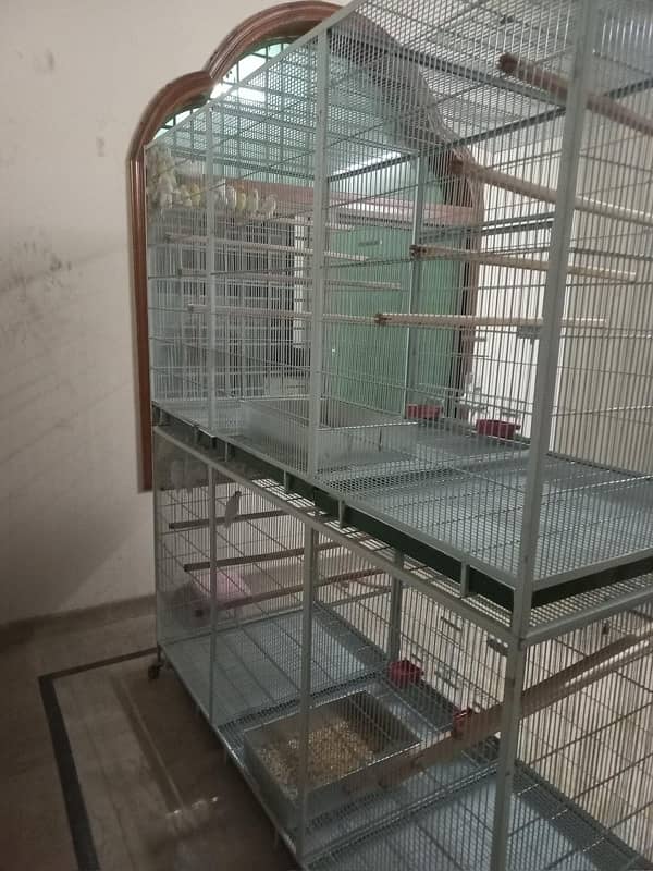 5 portion angel cages condition new (1 fly avairy 2