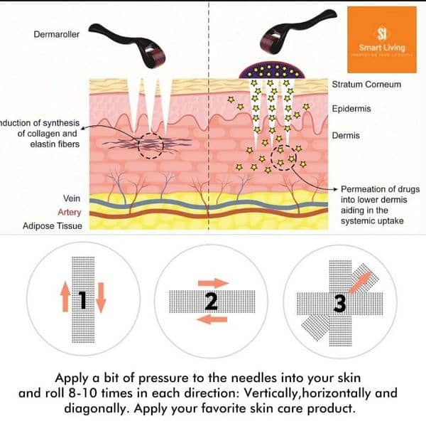 Professional Derma Roller Kit 2