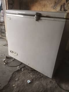 d freezee single door