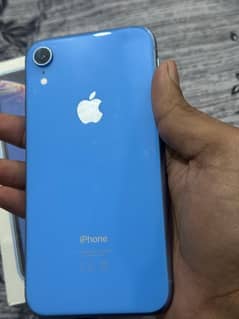 Iphone XR 128 GB PTA Approved