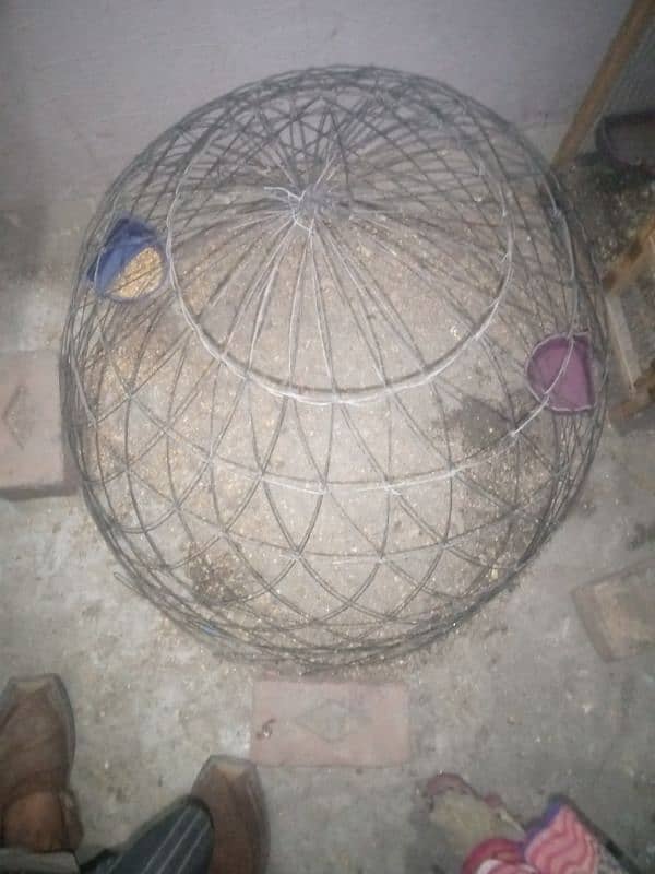 Hens cage for sell(03053991673/Whatsupp) 0