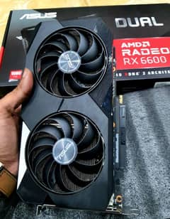 RX 6600 8GB ASUS DUAL