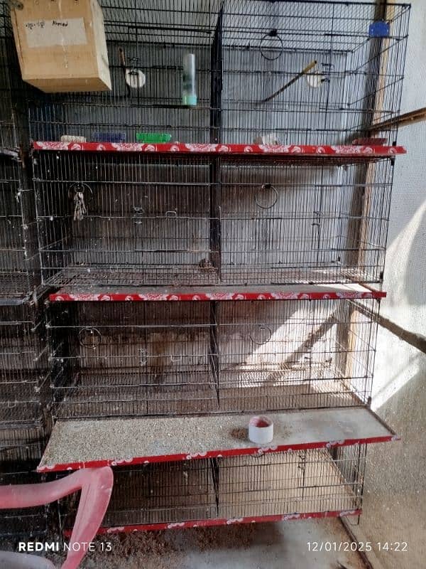 cages for sale 2