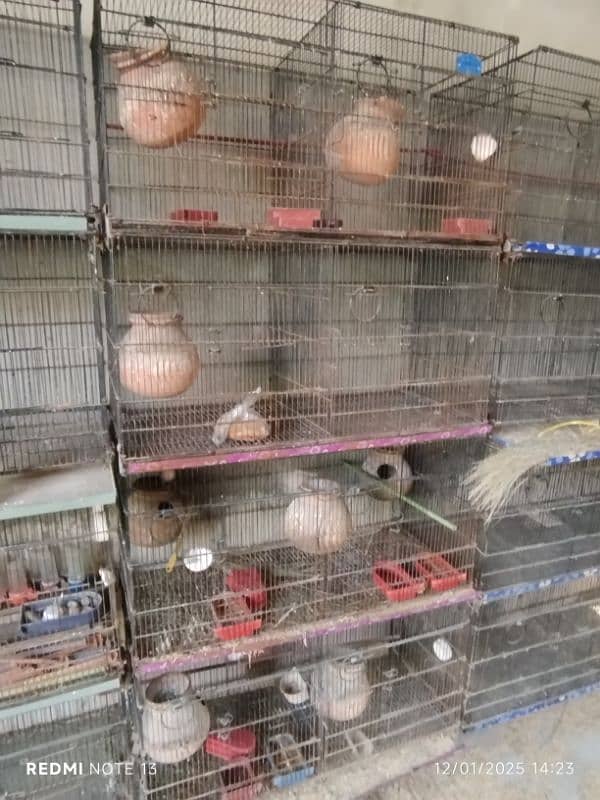 cages for sale 4