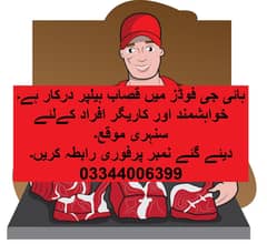 MEAT BUTCHER EXPERT