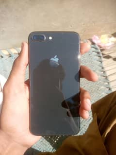 8 Plus PTA