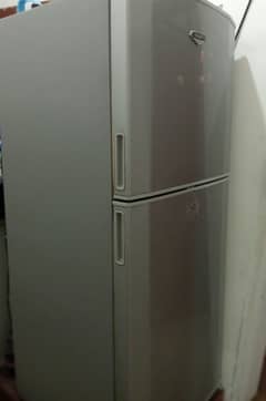 Best Fridge