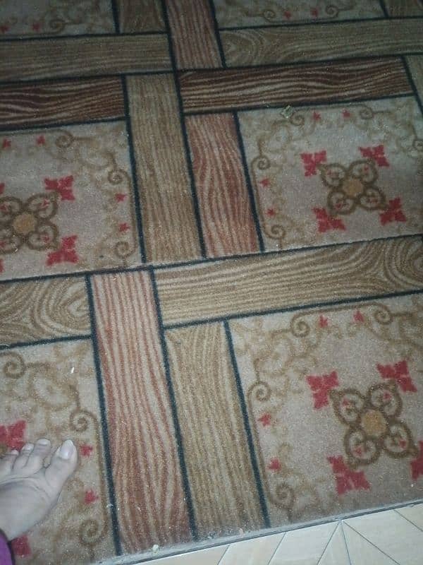 carpet new 2