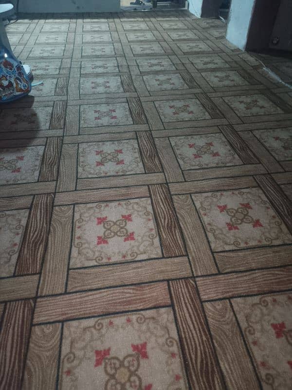 carpet new 3