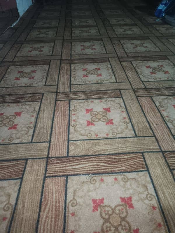 carpet new 5