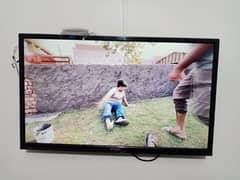 Ecostar LED with Android Box