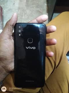 Vivo