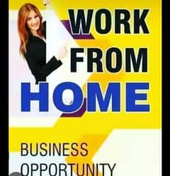 work from home/online business apprtuntie