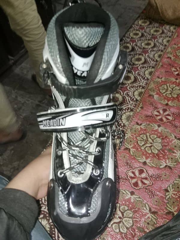 new skates with bag and tools and lightning tyers 2