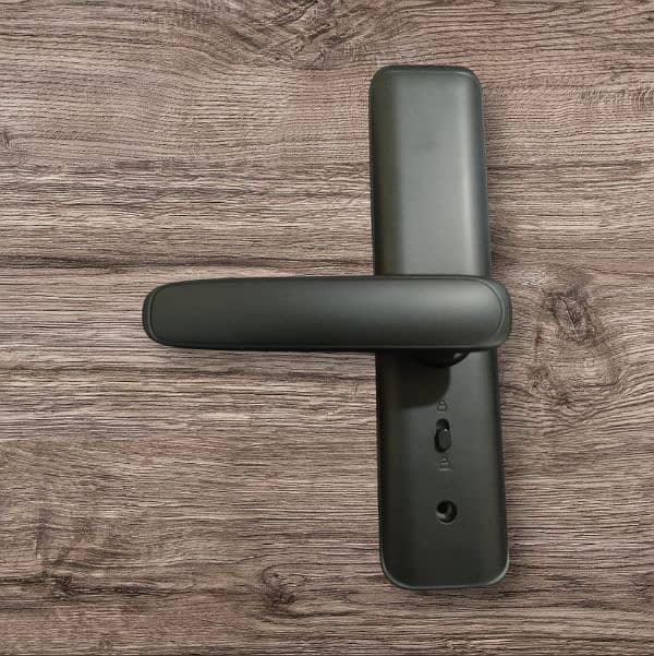 SMART DOOR LOCK (Matt) 1