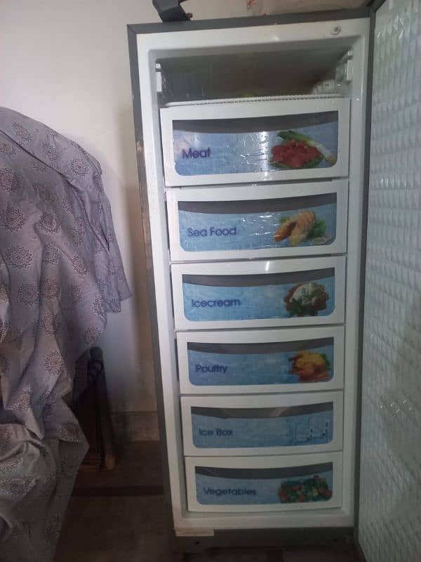 vertical freezer 1