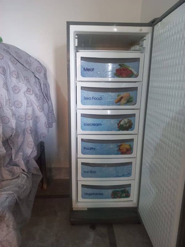 vertical freezer 5