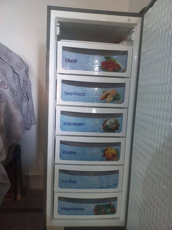 vertical freezer 6